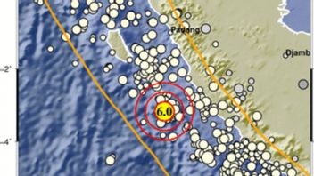 印度-澳大利亚板块活动引发的西南部穆科穆科地震