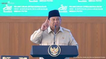 プラボウは、インドネシアは外国の国民の前であまりにも長い間、あまりにも多くのことを言っていると述べた