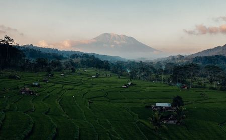 Pembiayaan Sektor Pertanian di Bali Masih Rendah, OJK Luncurkan KPSP