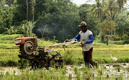 Ekonom Sebut Sektor Pertanian sebagai Industri yang tahan Krisis