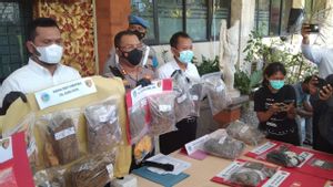 Anak Ketua DPRD Badung Bali Ditangkap karena Kasus Narkoba, Tapi Tak Ditampilkan Saat Rilis Perkara