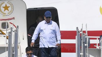 Palais : Danantara devient un aimant pour la diplomatie Prabowo à l'étranger