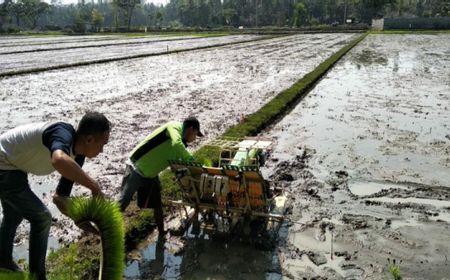 Kementan Fokus Penanaman Padi dengan Menggunakan Teknologi Tinggi di Tiga Wilayah