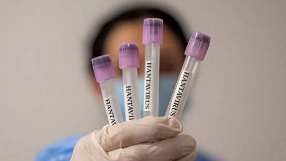 Quel est le danger du hantavirus en Indonésie?