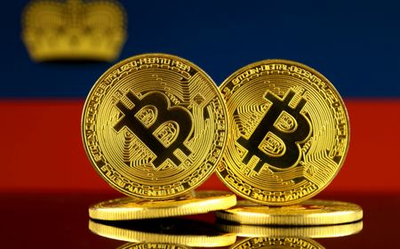 Di Liechtenstein, Bitcoin Bisa Buat Bayar Layanan Publik