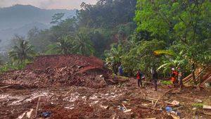 BNPB Reveals Forest Function Transfer Exacerbated Landslides In West Bandung