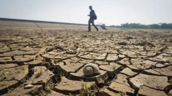 Pemkab Garut Bentuk Satgas Penanganan Kekeringan Minimalisir Parahnya Kemarau Akibat El Nino