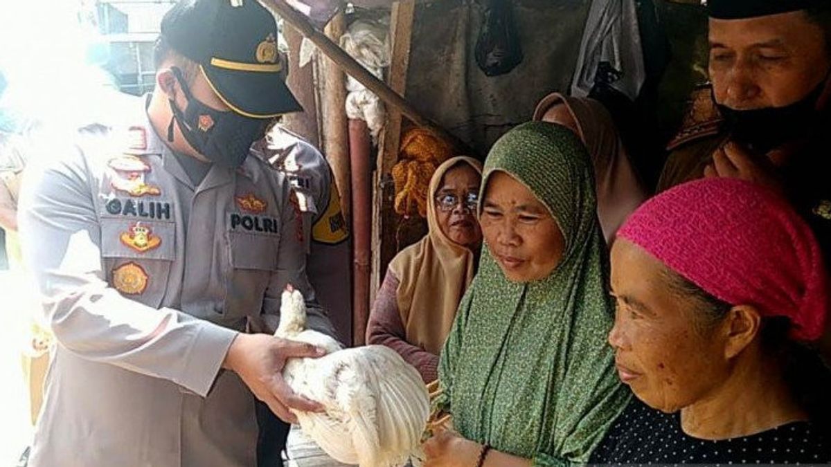 Bonne Nouvelle Pour Les Personnes âgées De Cianjur, Qui Veulent être Vaccinées Obtenez Un Cadeau De Poulet Vivant