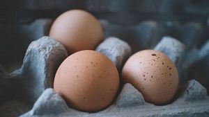 Ciri-ciri Telur Ayam yang Sehat dan Baik untuk Dikonsumsi, Kenali Sebelum Membeli