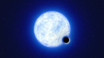 新しい研究:大きな星は爆発することなく空から消える可能性があります