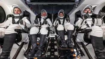 NASA Will Return Crew-11 from the ISS Faster Due to Medical Problems