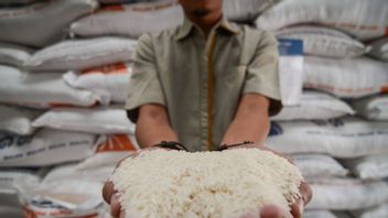 Realisasi Belum 100 Persen, Bulog Kebut Penyaluran Bantuan Pangan Beras di Papua