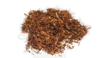 موقع الموقد في صحراء يوتا يكشف عن استخدام التبغ من قبل البشر قبل 12300 سنة