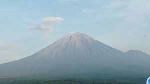 2 Kali Getaran Banjir Lahar Dingin Terjadi di Gunung Semeru