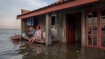 Hari Pencoblosan, BMKG Ingatkan Angin Kencang hingga Banjir Rob