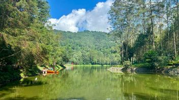 Status Gunung Wayang Tak Berubah, Kemenhut Pastikan Tetap Hutan Lindung