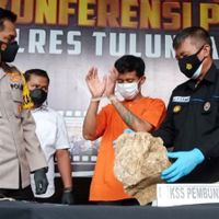 Dari Judi Klethek, Adu Mulut Itu Muncul! Ujungnya, Sait Lupriadi Dibunuh Teman dan Dibuang di Ilalang 