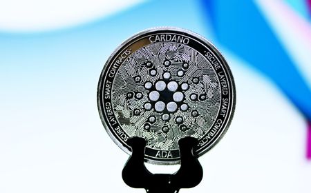 Wow! Holder Cardano Meningkat 1600 Persen