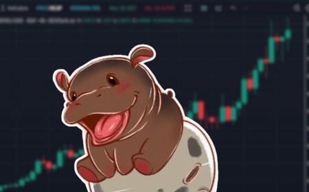 Memecoin Moo Deng Melonjak Setelah Listing di Coinbase