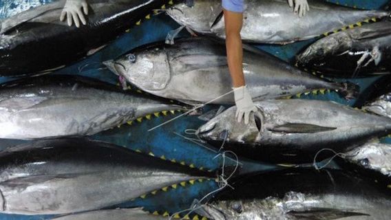 أعضاء اللجنة الرابعة يطلبون من الحكومة التنازل عن التعريفات الجمركية على صادرات مصايد الأسماك، وإليك السبب