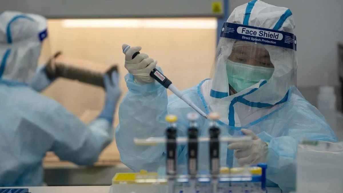 العلماء الصينيون الهندسيون الجزئيون لفيروس الإيبولا يقتلون مجموعة قبضة