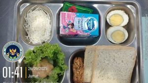 Makan Bergizi jadi Malapetaka, Dinkes Jember Curigai Residu Kimia di Sayuran Selada-Timun