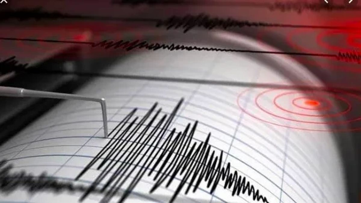 BMKG Catat 67 Gempa Terjadi di Maluku Selama Sepekan 