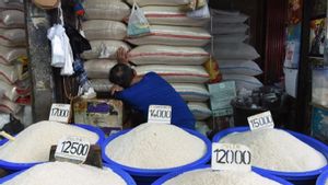 YLKI Desak Pemerintah Tindak Tegas Kecurangan Penjualan Beras yang Rugikan Konsumen Rp99,35 Triliun