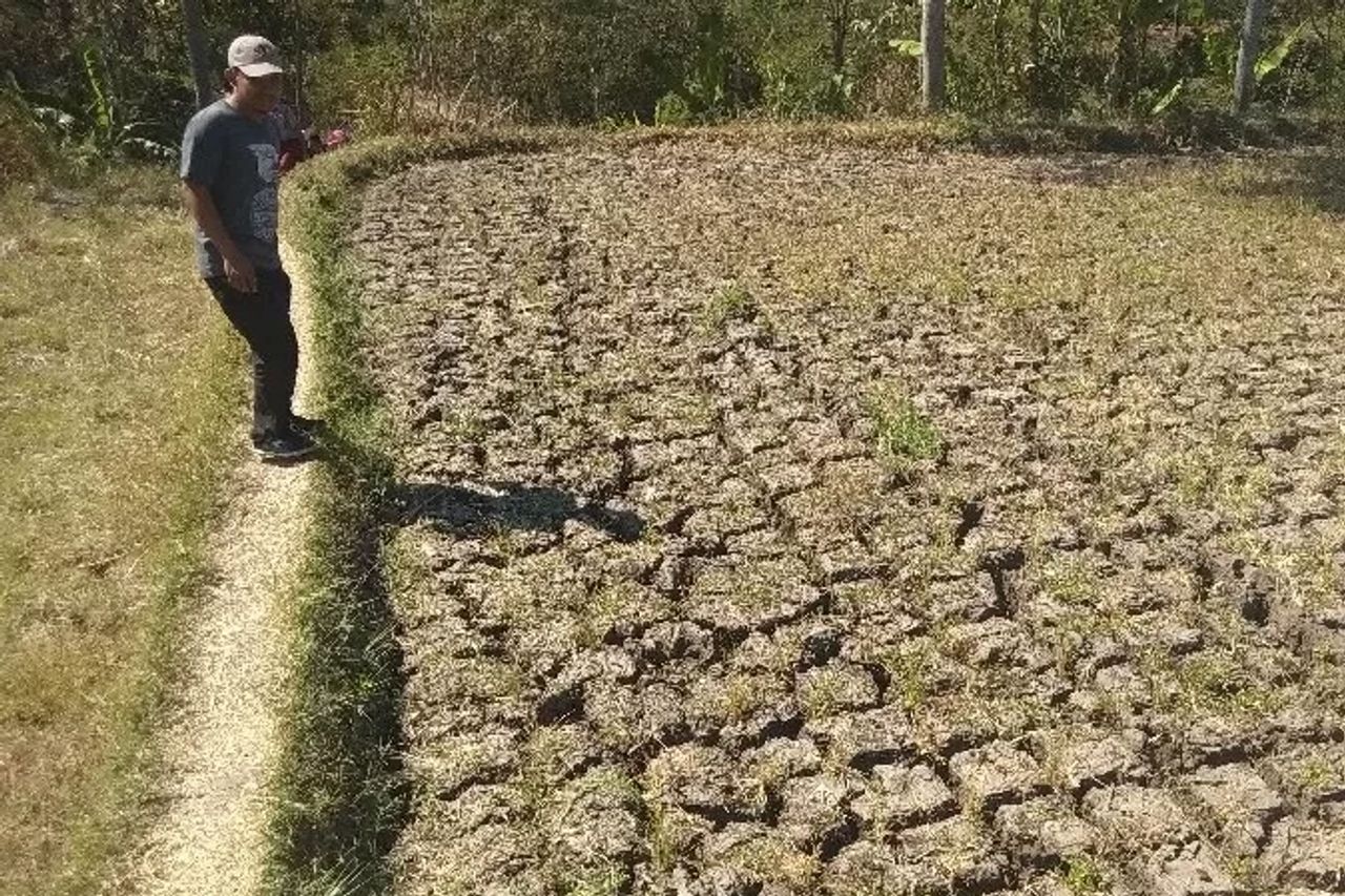 バンカ摂政は、干ばつの影響を受けた住民のための清潔な水の利用可能性をチェックするために、フィールドにケイデスを命じました