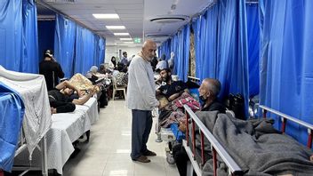 41 Persen Pasien Gagal Ginjal di Gaza Meninggal karena Tidak Bisa Mengakses Layanan Dialisis