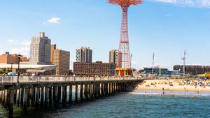 Angry Birds Recoki Drone Pengawas Hiu di Pantai New York