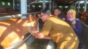 Kalung Sehat Jadi Penanda Hewan Kurban Layak, Sumedang Siapkan Ribuan Tanda Khusus