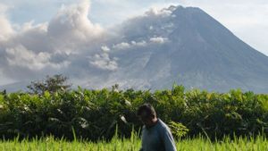 Aktivitas Gunung Merapi Meningkat, Bupati Pastikan Daerah Sleman Masih Aman
