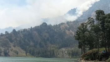 Fire On The Senaru Climbing Line Mount Rinjani Has Been Extinguished