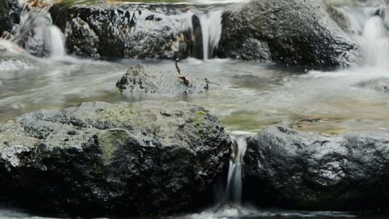 Ketua DPR Soroti Kematian Siswa Saat MOS di Sungai Cileuleuy: Kegiatan Berbahaya Harusnya Bisa Dihindari