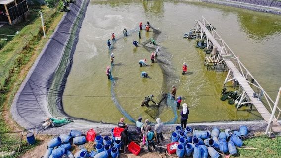 Getting To Know Delos, Aquatech Startup Entering The Shrimp Farm Sector: Production Increases 3 Times