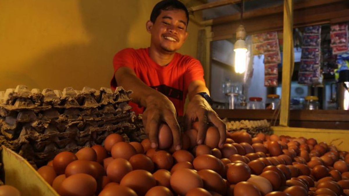 Satgas Pangan Polri Turun Tangan Identifikasi Penyebab Kenaikan Harga Telur Ayam