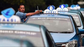 Viral Sopir Jaklingko Ngamuk di Jalan, Pengamat Sebut Blue Bird Jadi Rujukan Etika Profesional