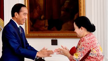 Puan Maharani dan Presiden Jokowi Akhirnya Bertemu di Istana, Bahas Apa?