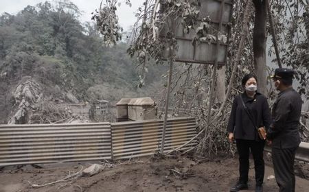 Formappi Kritik Baliho Puan Maharani di Lokasi Erupsi Gunung Semeru