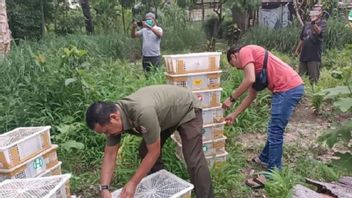 Riau KSDA Center Confiscates 840 Birds Without Official Documents Although Not Protected Animals
