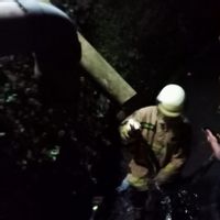 Warga Panik Melihat Ular Piton 3,5 Meter di Saluran Air, Petugas Sigap Lakukan Evakuasi