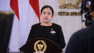 Puan Ingin Presiden Perempuan di 2024, PAN: Siapa pun yang Menang Itu Kehendak Rakyat