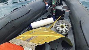 Breaking News! Pecahan Lempengan Besi Diduga Bodi Sriwijaya Air SJ-182 Ditemukan