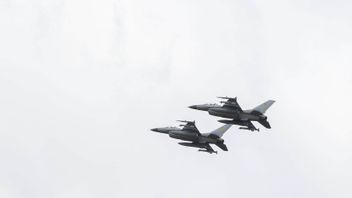 Netherlands Doesn't Ban Ukraine From Using Fighter Jets To Attack Military Targets In Russian Territory