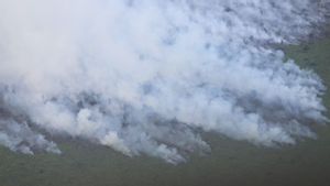 Menhut Alasan Panas Ekstrem Faktor Utama Karhutla Menerjang Riau