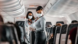 Drunk Airplane Passengers Don't Give Up On Flight Attendants In India's Sky