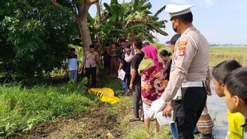 Astaga, Bayi Usia 1 Tahun Ditemukan Sudah Membusuk di Bawah Pohon