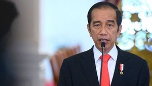 Kalau Kita Inlander Berarti Pak Jokowi Inferior, Dan Itu Sama Saja