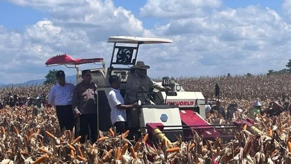 Presiden Prabowo Tunggangi Mesin Kupas Jagung saat Panen Raya di Bengkayang Kalbar